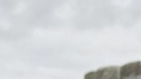 Rosie Rivera y Abel Flores