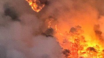 Incendios forestales