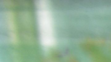 Indonesia celebró una de las elecciones de un día más grandes del mundo el 17 de abril.