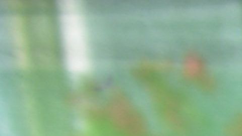 Indonesia celebró una de las elecciones de un día más grandes del mundo el 17 de abril.