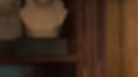 Jared Kushner ha tratado temas migratorios con el Gobierno de México.