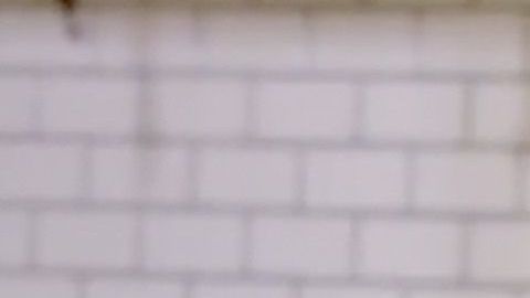 Johnny López en uno de los episodios de "The Riveras"