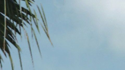 Cada vez más real. Así sentirás el efecto de esta nueva atracción.