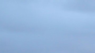 El último Beetle que se fabricó en México fue enviado al Museo de Volkswagen en Alemania