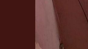 La matan en casa de citas en Veracruz