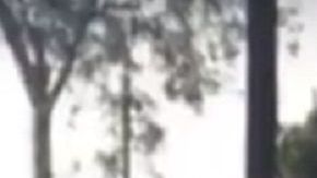 La llamada "Lady Frijoles" llegó a EEUU con dos niñas.