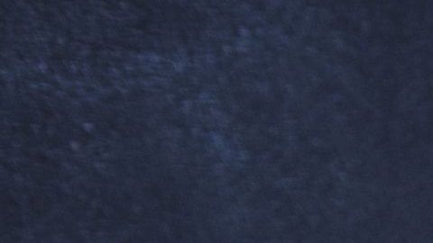 Ocho de cada 10 latinas dicen que deben su éxito a mentoras./Shutterstock