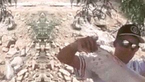 Arrojan al fuero al animal.