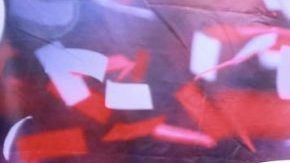 El exfutbolista mexicano Pável Pardo.