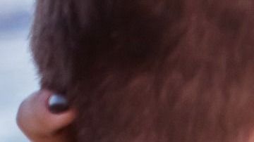 Algunos creen no poder vivir el uno sin el otro.