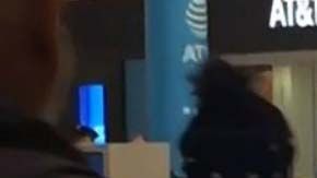 Escena del crimen en Mall of America.