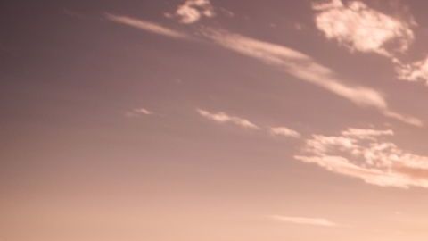 Durante estas vacaciones no comas por comer, identifica cuándo es hambre y cuándo ansiedad o antojo.