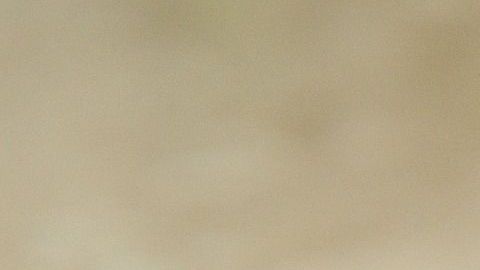 Esta industria está en crecimiento y podrías encontrar algunas buenas oportunidades de empleo.