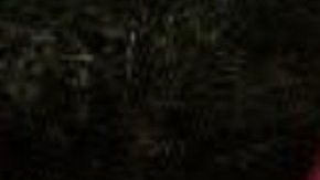 La droga tiene un valor en el mercado de $151,000 dólares.