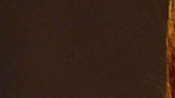 Marjorie de Sousa en la polémica.