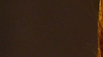 Marjorie de Sousa recuperó su sensualidad.