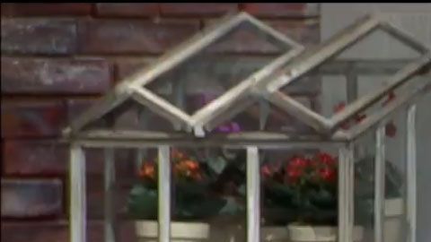 Martha Cristiana en Ventaneando.