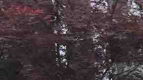 Autoridades confirmaron que un cuerpo hallado en el lago Michigan pertenece a  Matthew "Mateo" García de 16 años.