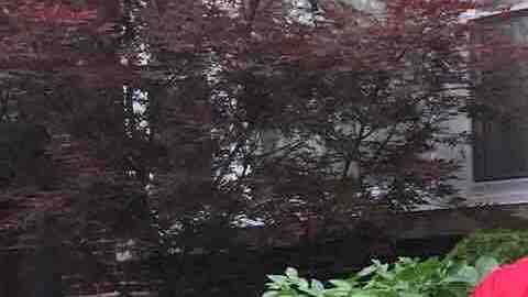 Autoridades confirmaron que un cuerpo hallado en el lago Michigan pertenece a  Matthew "Mateo" García de 16 años.