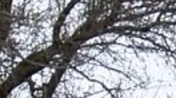 El establecimiento ubica en Lyons, Nueva York.