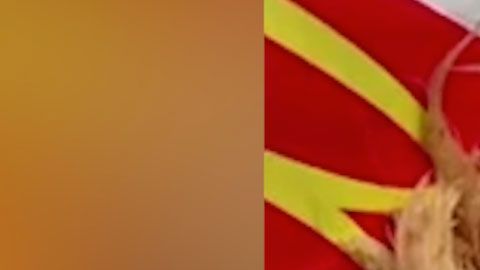 La madre se dio cuenta de las desagradables plumas en el pollo después de que su hija le había dado una mordida.