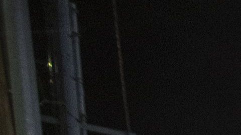 El artista nominado al Grammy tenía previsto reunirse con el personal del Departamento de Policía de Los Ángeles para discutir formas de detener la violencia de pandillas.