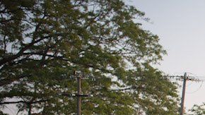 Migrantes avanzan en Chiapas