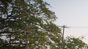 Migrantes avanzan en Chiapas