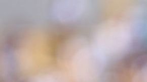 Ambriz cuando dirigía a Pumas.