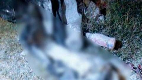 La narcofosa fue descubierta en el Mercado Morelos, en Puebla.