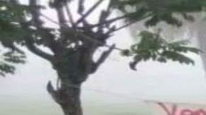 Narcomanta Tabasco amenaza a extorsionarores y secuestradores