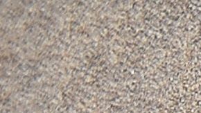 El bebé calló de una altura de unos 70 pies.