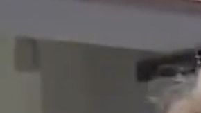 Niurka Marcos estalla contra Pablo Lyle