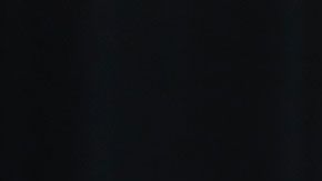 Muchos presidentes se dedicaron a otras cosas, además de la política, antes de convertirse en mandatarios.