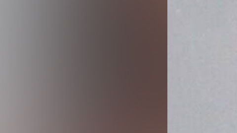 Pablo Lyle fue arrestado y puesto en libertad bajo a fianza.