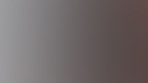 Pablo Lyle fue arrestado y puesto en libertad bajo a fianza.