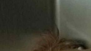 Latte, el perro milagro.