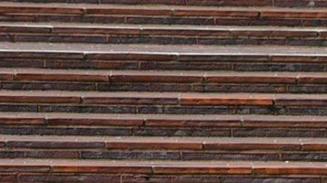 Hay algunas buenas oportunidades de empleo en donde las personas con discapacidad podrían desarrollarse plenamente.