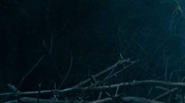 Jason Clarke en Pet Sematary.