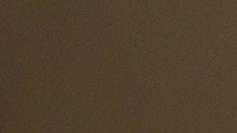 La salmonella se puede encontrar en una variedad de alimentos, como carne de res, pollo y cerdo.