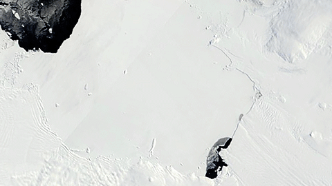 La animación del Glacial Pine Island muestra cómo disminuye.