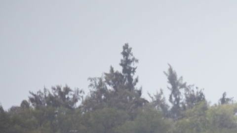 El primer vuelo comercial desde Oakland con dirección Honolulu, despegó este domingo.