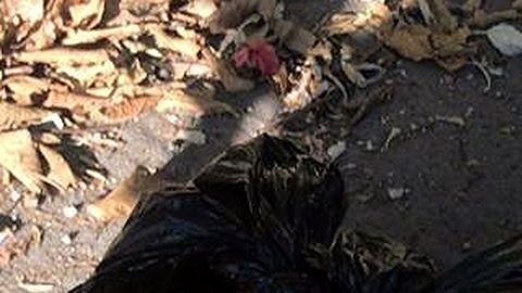 Los cuerpos abandonados en bolsas, como este descuartizado en Bosques de Las Lomas, se han vuelto hechos comunes en la CDMX.