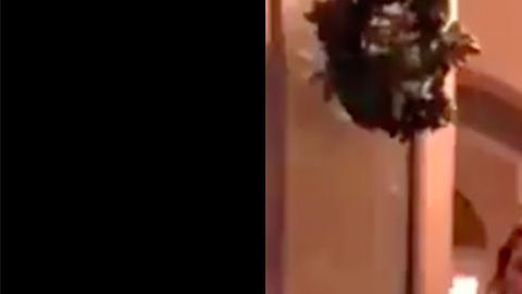 Mousa al tocar la puerta.