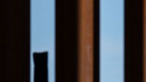 El bebé se ha hecho famoso en las manifestaciones en contra de Trump.