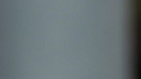 El Acuerdo Flores está vigente desde 1997.