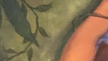 La artista chicana Emilia Cruz creó este dibujo para Proyecto Ser Humano.