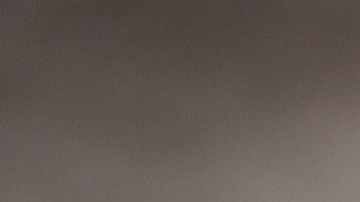 Una combinación de virus que pueden presentarse en los perros puede ser letal en las personas.