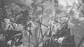 Quinta fotografía de las hadas de Cottingley, la que las primas aseguraron siempre que era verdadera.