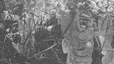 Quinta fotografía de las hadas de Cottingley, la que las primas aseguraron siempre que era verdadera.